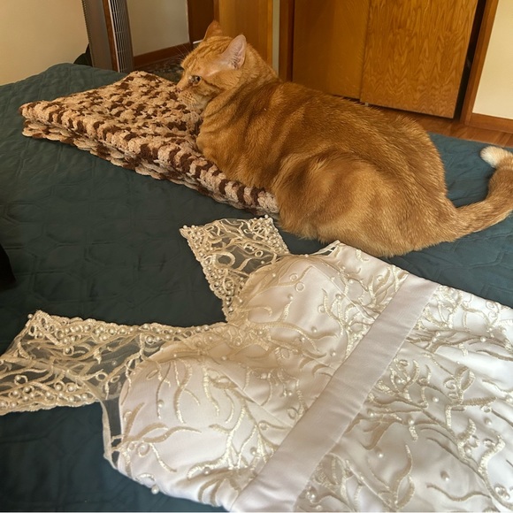 NEW Modcloth Romantic Revelries Ivory Maxi Dress - Picture 11 of 11